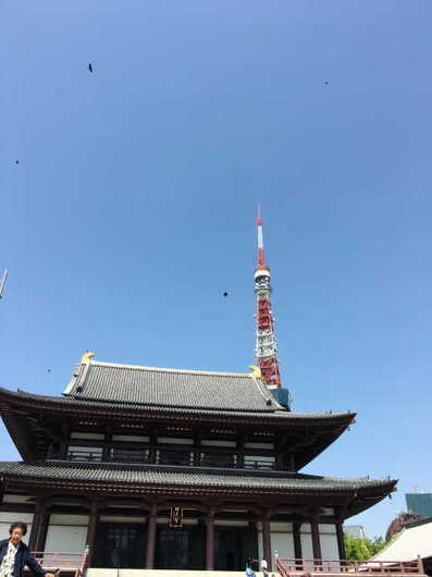 05_増上寺と東京タワー.jpg